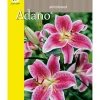 Adano Blomsterløg assorterede varianter| Frø Og Løg