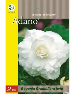 Adano Blomsterløg assorterede varianter| Frø Og Løg