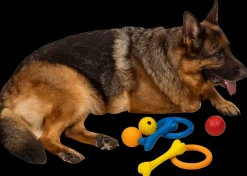 Chrisco Bideben - assorterede farver| Hundelegetøj Og Kattelegetøj