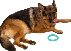 Chrisco Bidering - assorterede farver| Hundelegetøj Og Kattelegetøj