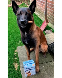 Chrisco DentalCare sticks large 28-pak| Hundefoder, Kattemad Og Godbidder