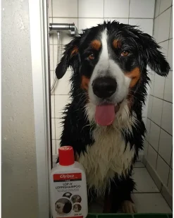 Chrisco Lop-A' loppeshampoo 200 ml| Dyrepleje