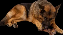 Chrisco Slagterben 700 g| Hundefoder, Kattemad Og Godbidder