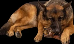 Chrisco Slagterben 700 g| Hundefoder, Kattemad Og Godbidder