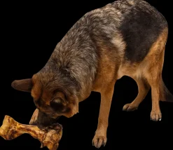 Chrisco Slagterben 1700-2000 g| Hundefoder, Kattemad Og Godbidder