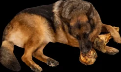 Chrisco Slagterben 1700-2000 g| Hundefoder, Kattemad Og Godbidder