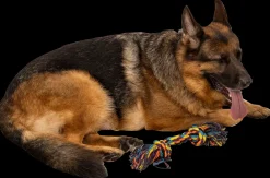 Chrisco Stort legereb| Hundelegetøj Og Kattelegetøj