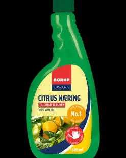 BORUP Expert Citrus Næring - 600 ml| Gødning Og Jord