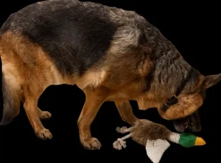 DanPet Hundelegetøj and med reb 42 cm| Hundelegetøj Og Kattelegetøj