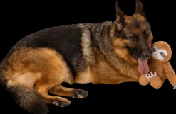 DanPet Hundelegetøj dovendyr 44 cm| Hundelegetøj Og Kattelegetøj