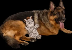 DanPet Hundelegetøj zebra 38 cm| Hundelegetøj Og Kattelegetøj