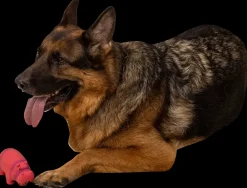 DanPet Latexflodhest 15 cm| Hundelegetøj Og Kattelegetøj