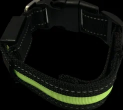 DanPet LED-halsbånd str. S| Hundeseler Og Hundehalsbånd