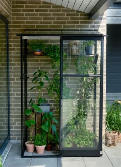 Halls Drivhus Qube Lean-to 24 hærdet glas - sort| Vægdrivhuse