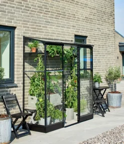 Halls Drivhus Qube Lean-to 26 hærdet glas - sort| Vægdrivhuse