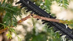 Bosch Hækkeklipper Easy 18V 44| Hækkeklippere