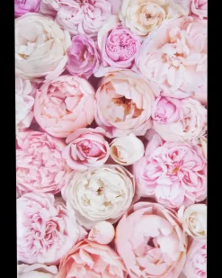 Kort med kuvert 11x17 cm - bonderoser| Festartikler