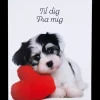 Kort med kuvert 11x17 cm - hund med hjerte| Festartikler