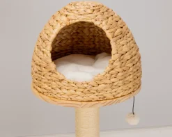 DanPet Kradsetræ med huler 1,87 meter| Kradsetræer