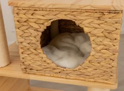 DanPet Kradsetræ med huler 1,87 meter| Kradsetræer