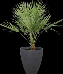 Krukke ribber antracitgrå Ø39 cm| Potter, Krukker Og Plantemøbler