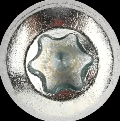 DXstrong Panskrue 5,0 x 40 mm TX25 100 stk.| Skruer