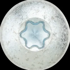 DXstrong Panskrue 5,0 x 50 mm TX25 50 stk.| Skruer