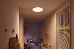 PHILIPS Plafond SceneSwitch 3-trin Ø35cm 17W - hvid| Loftslamper Og -Pendler