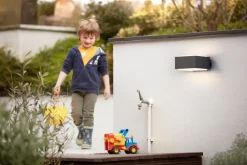 PHILIPS Væglampe Hedgehog E27 - antracitgrå| Udendørs Væglamper