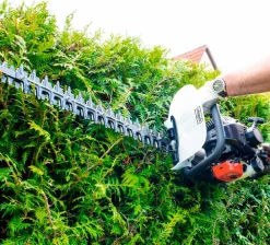 Scheppach Hækkeklipper HTH250| Hækkeklippere