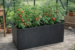 Adano Skjuler til selvvandingskasse - rattan| Øvrigt Havetilbehør