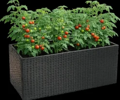 Adano Skjuler til selvvandingskasse - rattan| Øvrigt Havetilbehør