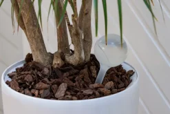 Adano Vandingskugle 200 ml 2-pak| Planteartikler Og -Opbinding